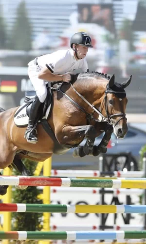 Comme il Faut - Capa_Vertical