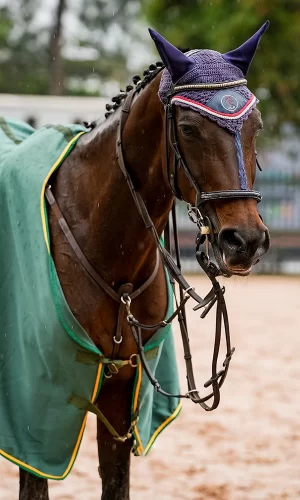 Lady Scarlett - Capa_Vertical